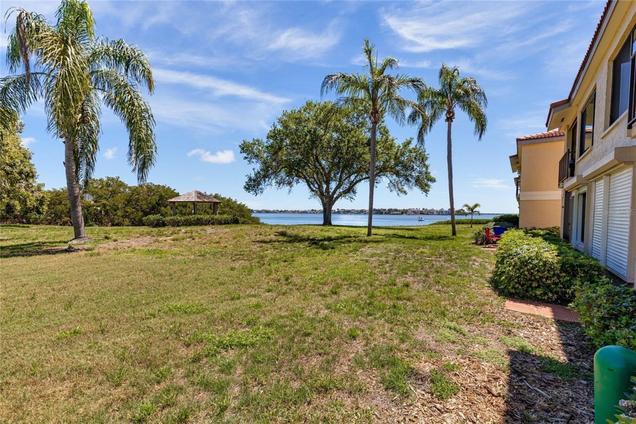 6104 Palma Del Mar Boulevard S, Unit 102A, Saint Petersburg, FL 33715 Photo