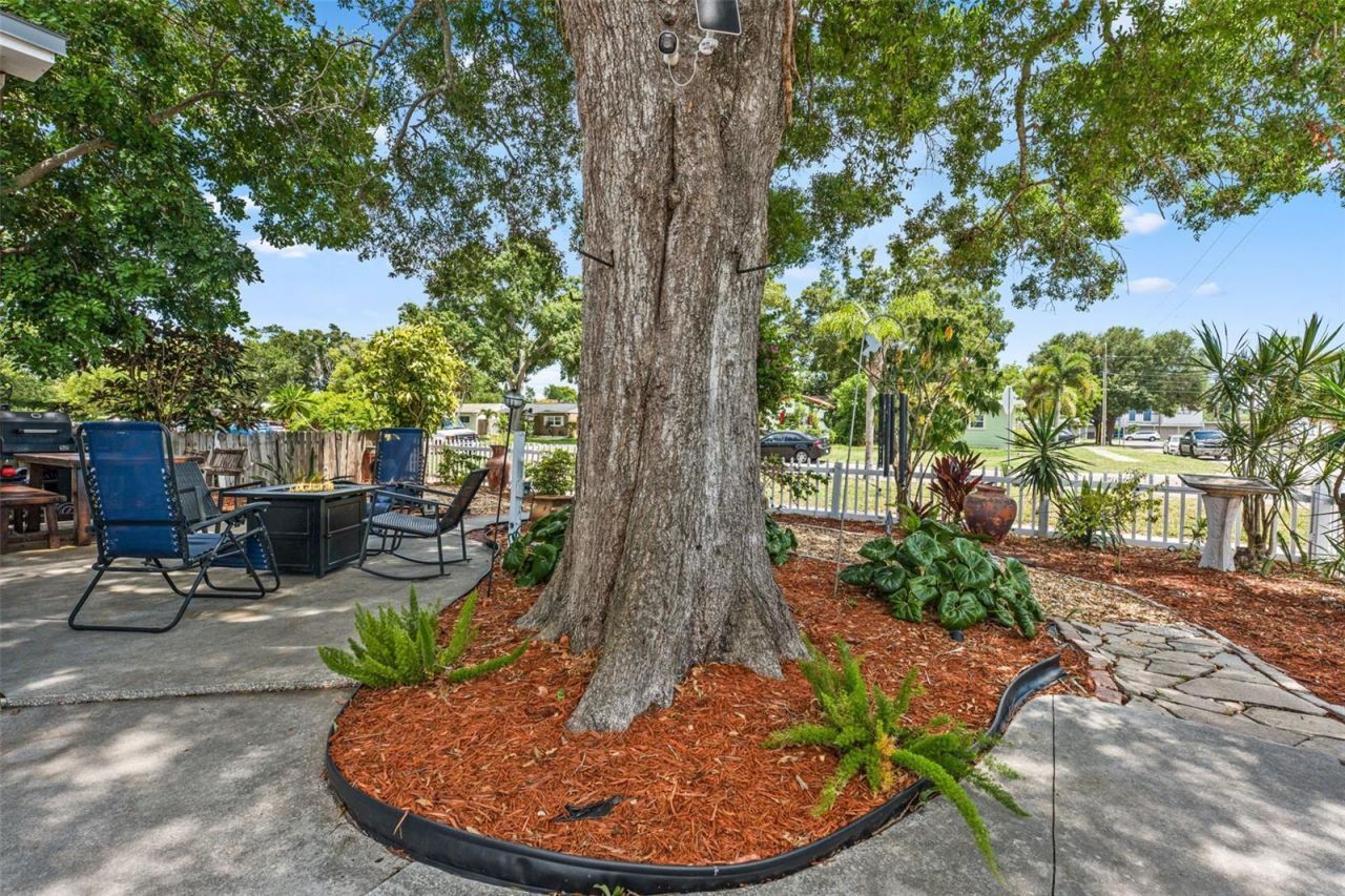 601 45th Street N, Saint Petersburg, FL 33713 Photo
