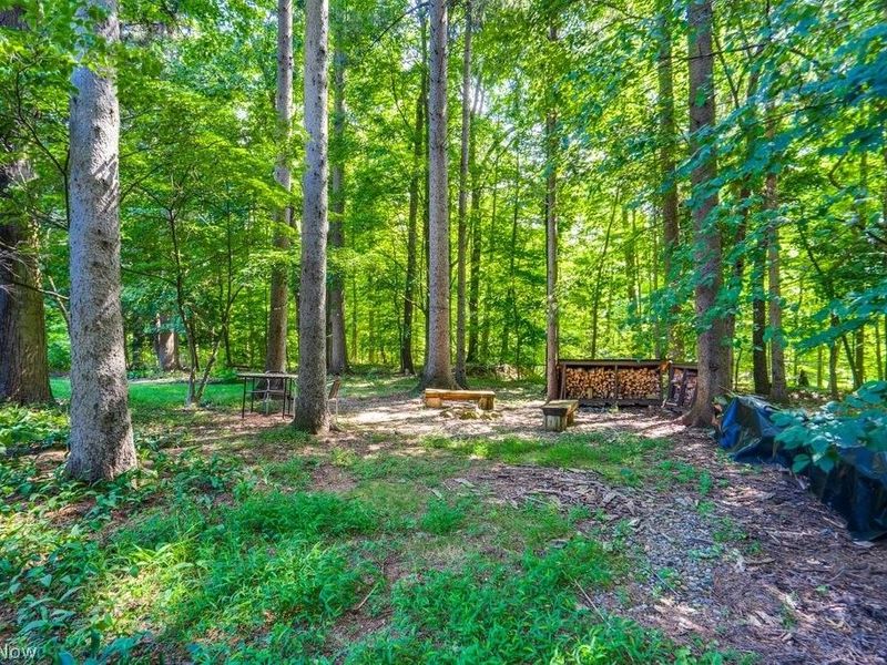 849 Pine Cone Oval, Sagamore Hills, OH 44067 Photo 10