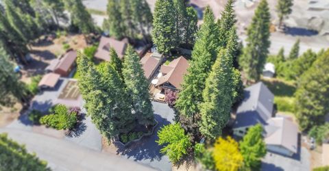 3686 Woodlake Drive, Lake Almanor, CA 96137 Photo