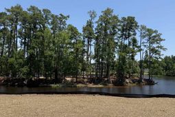 824 Sailboat Dr. photo 4