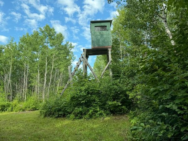 000 County Rd 56, Nashwauk, MN 55769