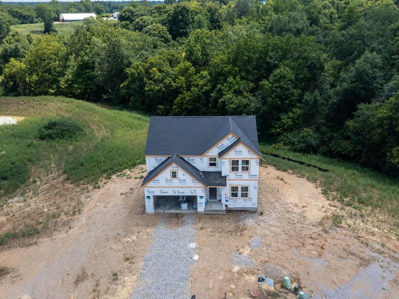 620 Chablis Court, Walton, KY 41094 Photo 4