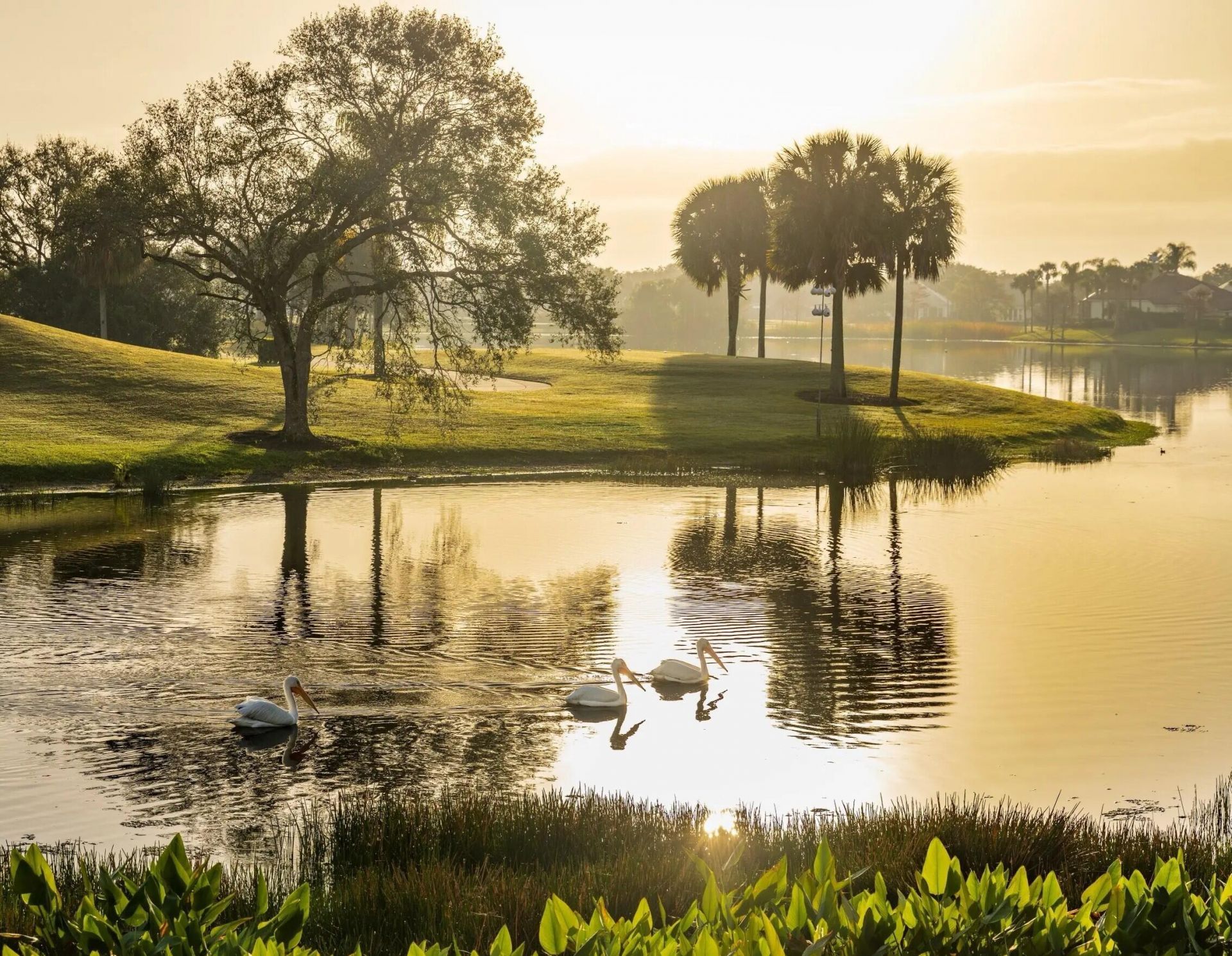 1726 Victoria Circle, Vero Beach, FL 32967 Photo