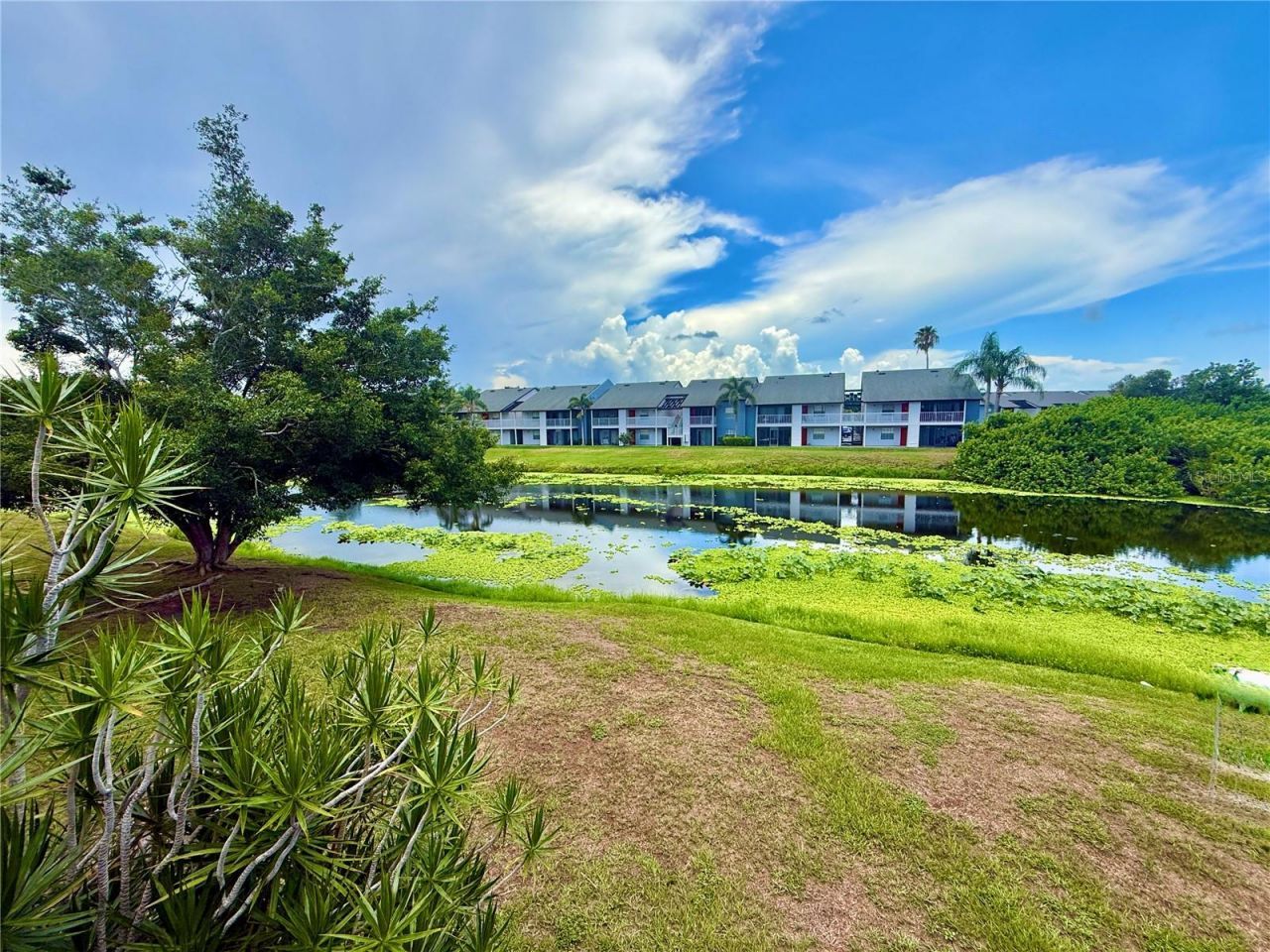2612 Hidden Lake Drive N, Unit D, Sarasota, FL 34237 Photo