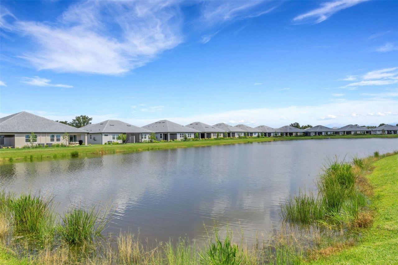 18181 Cherished Loop, Bradenton, FL 34211 Photo