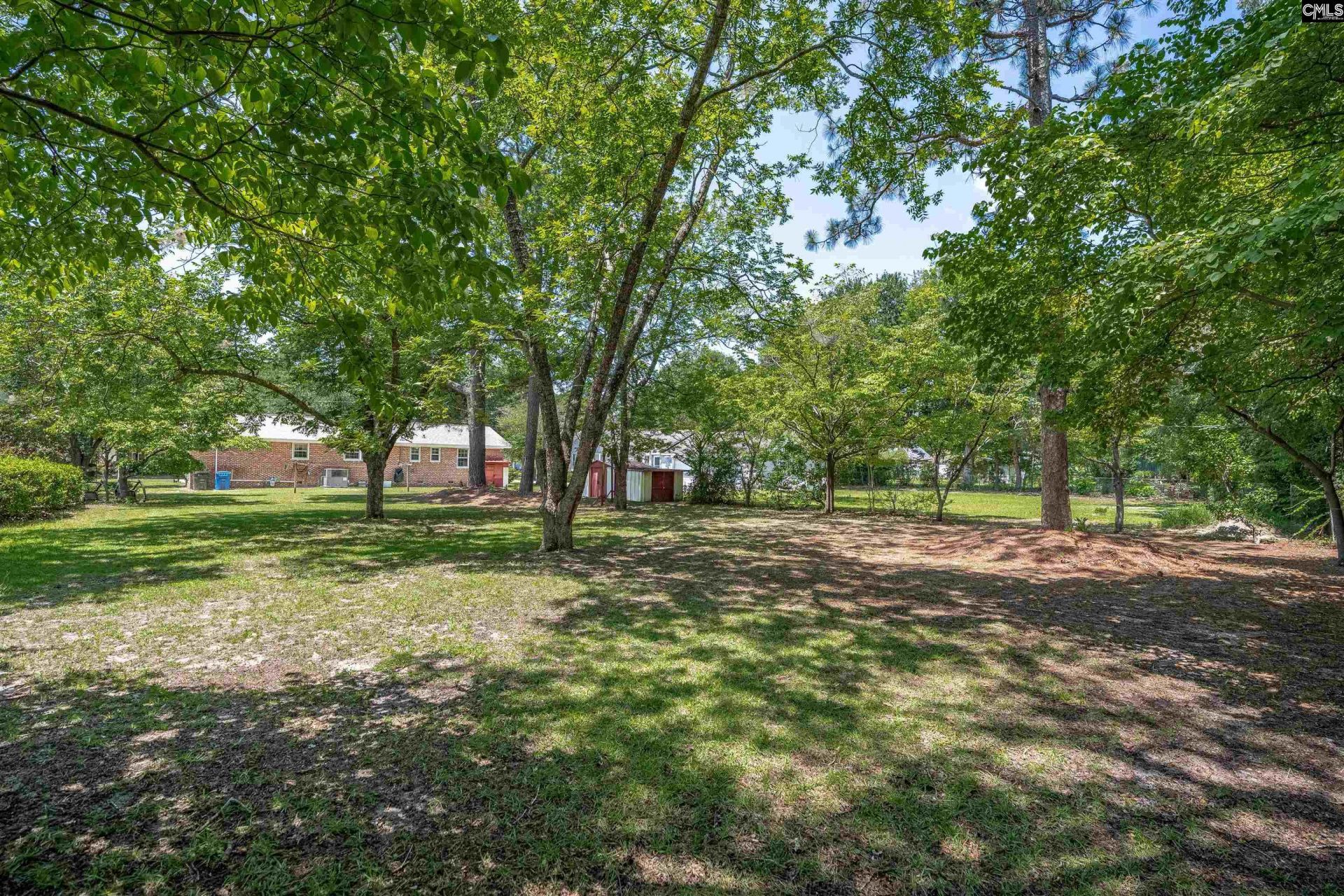 159 Alexandria Street  Photo 5
