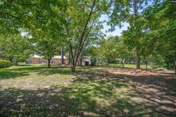 159 Alexandria Street  photo 4