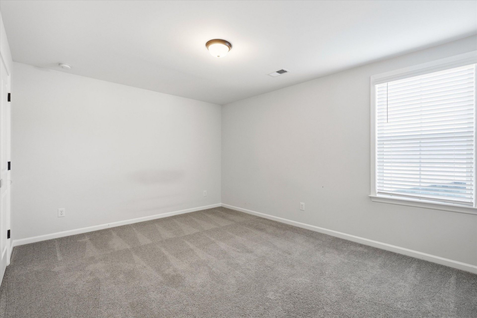 311 Hillman Trail Drive Photo 29