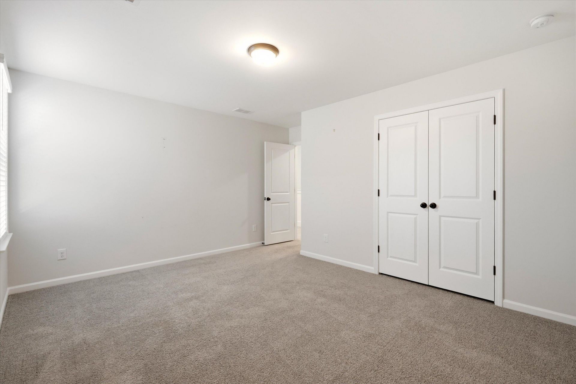 311 Hillman Trail Drive Photo 30