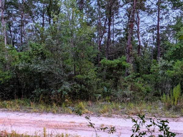 105 Strawberry Lane, Pomona Park, FL 32181