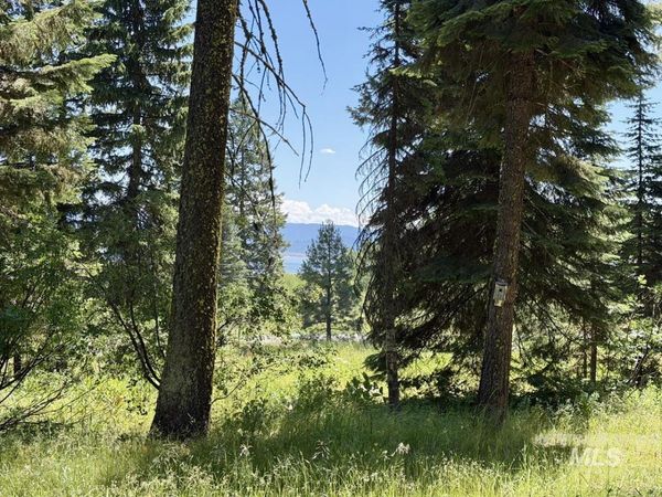 1610 Bear Trail Loop, Donnelly, ID 83615