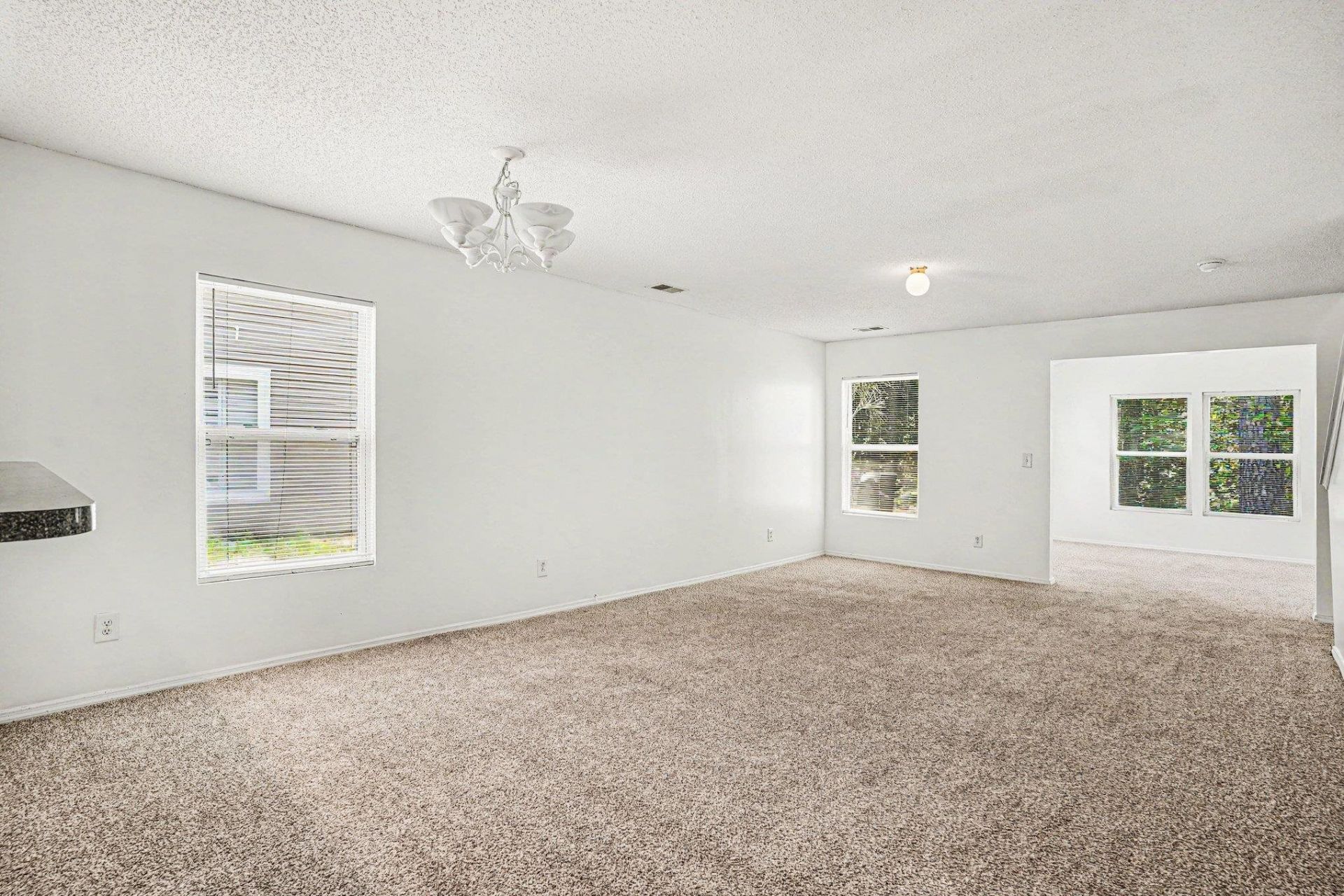 396 Bellegrove Dr.  Photo 11
