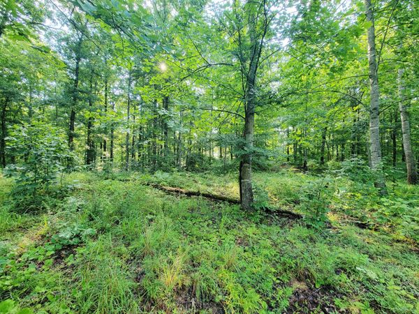 0 Ridgewood Dr , Unit 100, Mc Ewen, TN 37101