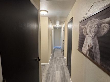 1332 Toiyabe Avenue, Gardnerville, NV 89410 Photo