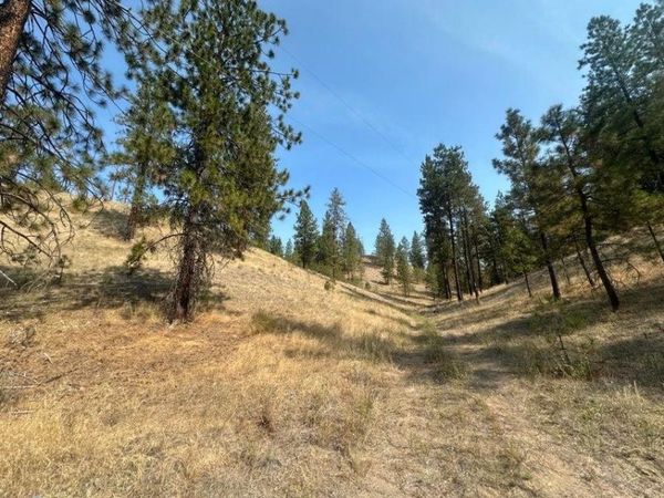 5699 C Hwy 231 Hwy, Ford, WA 99013