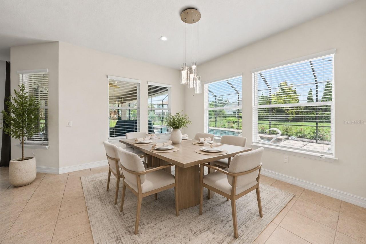 17823 Daisy Farm Drive, Lutz, FL 33559 Photo