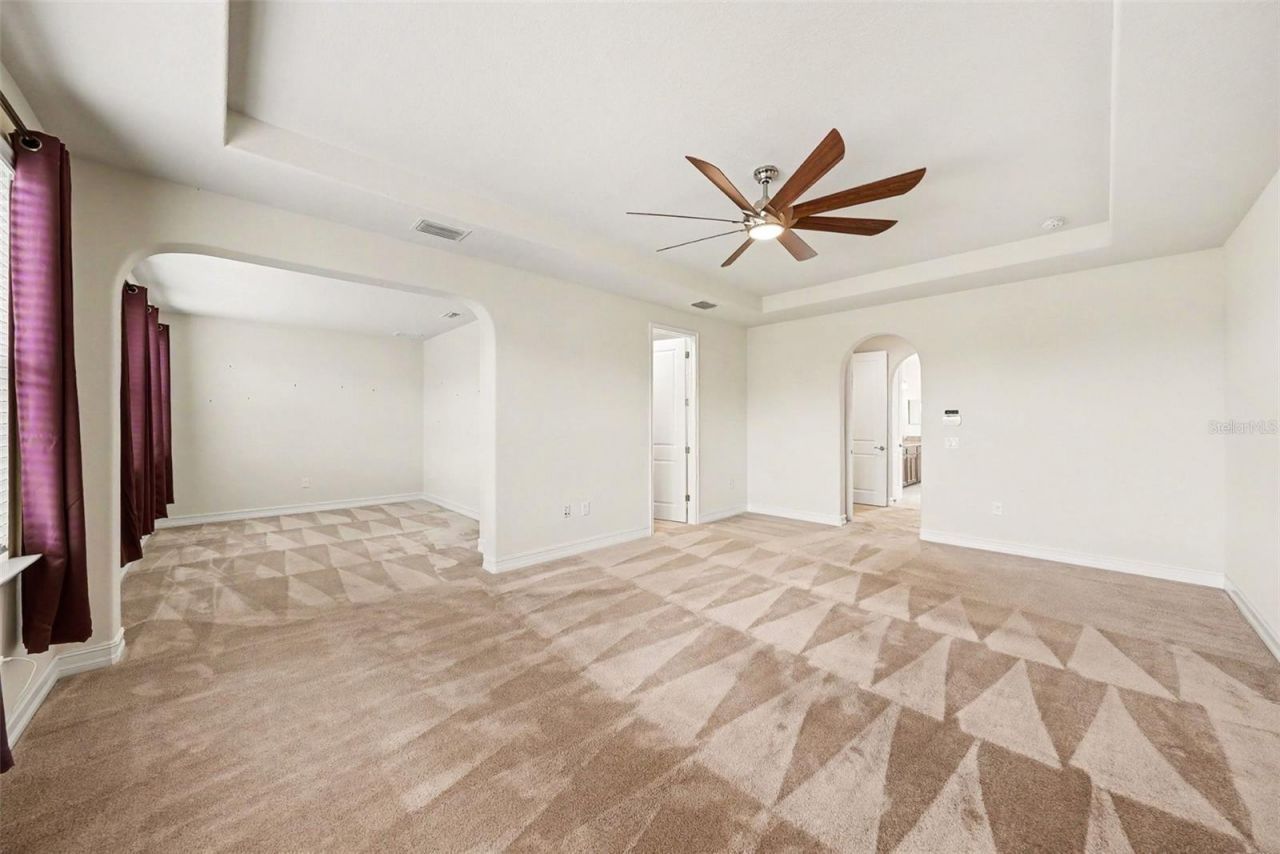 17823 Daisy Farm Drive, Lutz, FL 33559 Photo