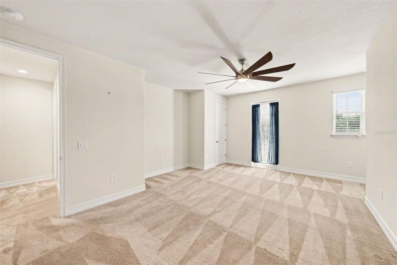 17823 Daisy Farm Drive, Lutz, FL 33559 Photo