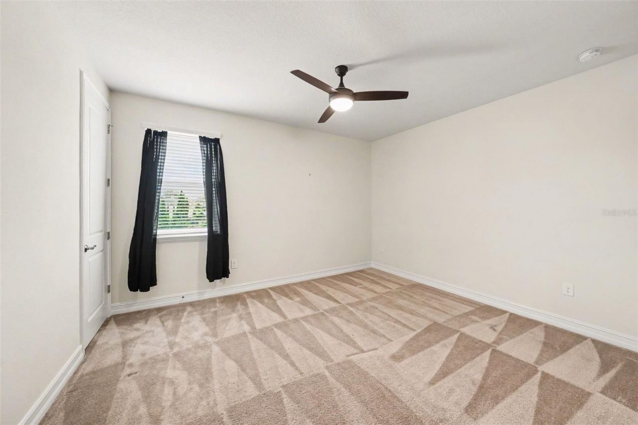17823 Daisy Farm Drive, Lutz, FL 33559 Photo