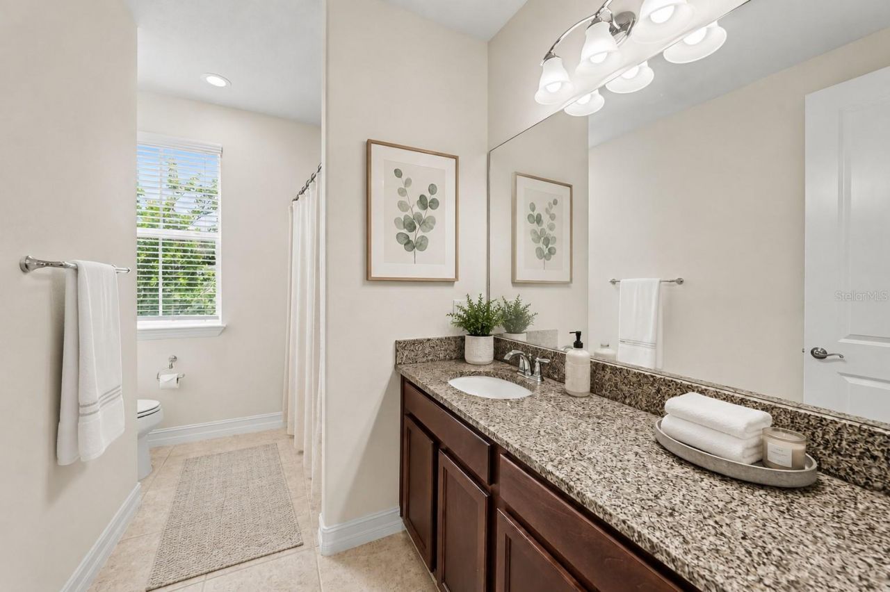 17823 Daisy Farm Drive, Lutz, FL 33559 Photo