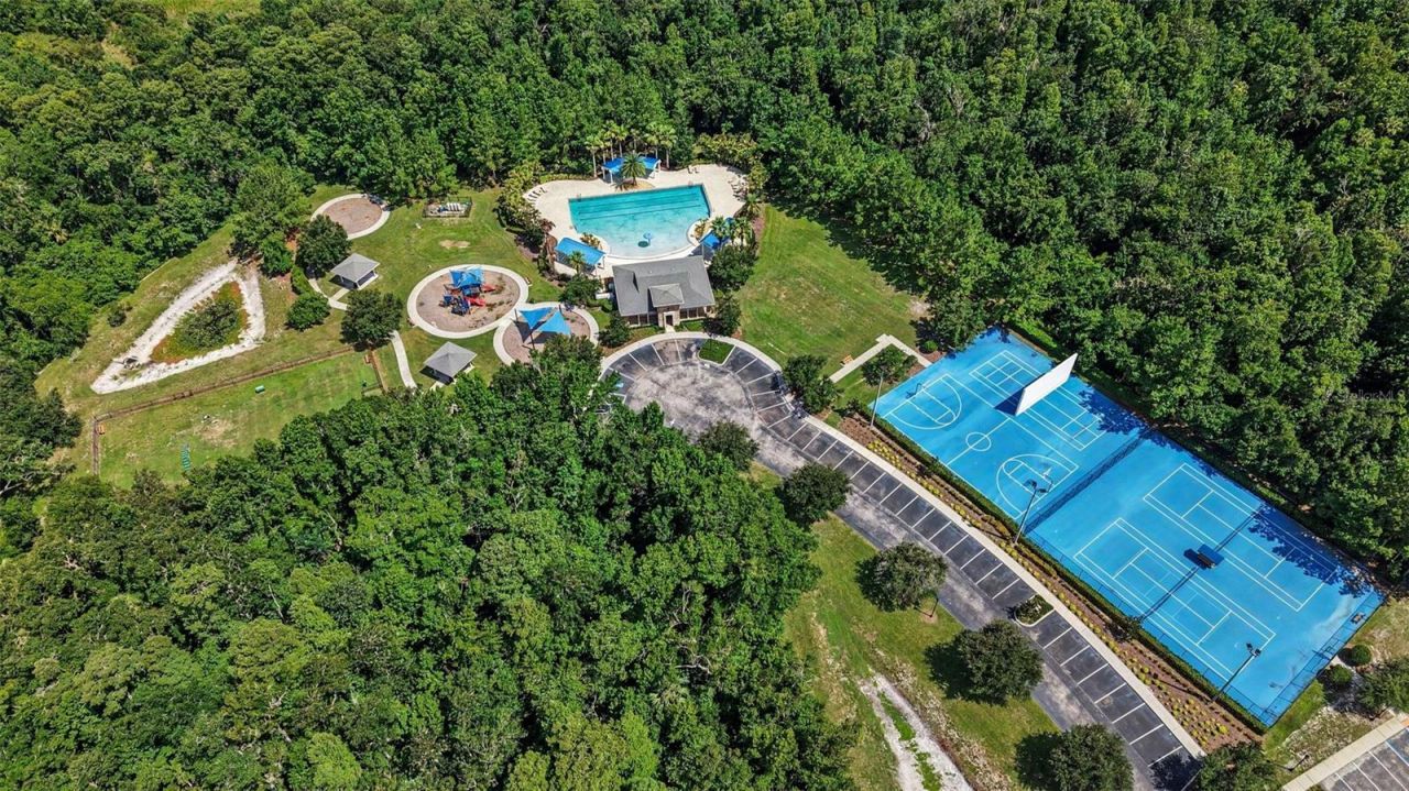 17823 Daisy Farm Drive, Lutz, FL 33559 Photo