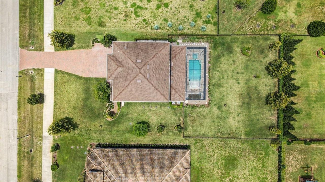 17823 Daisy Farm Drive, Lutz, FL 33559 Photo