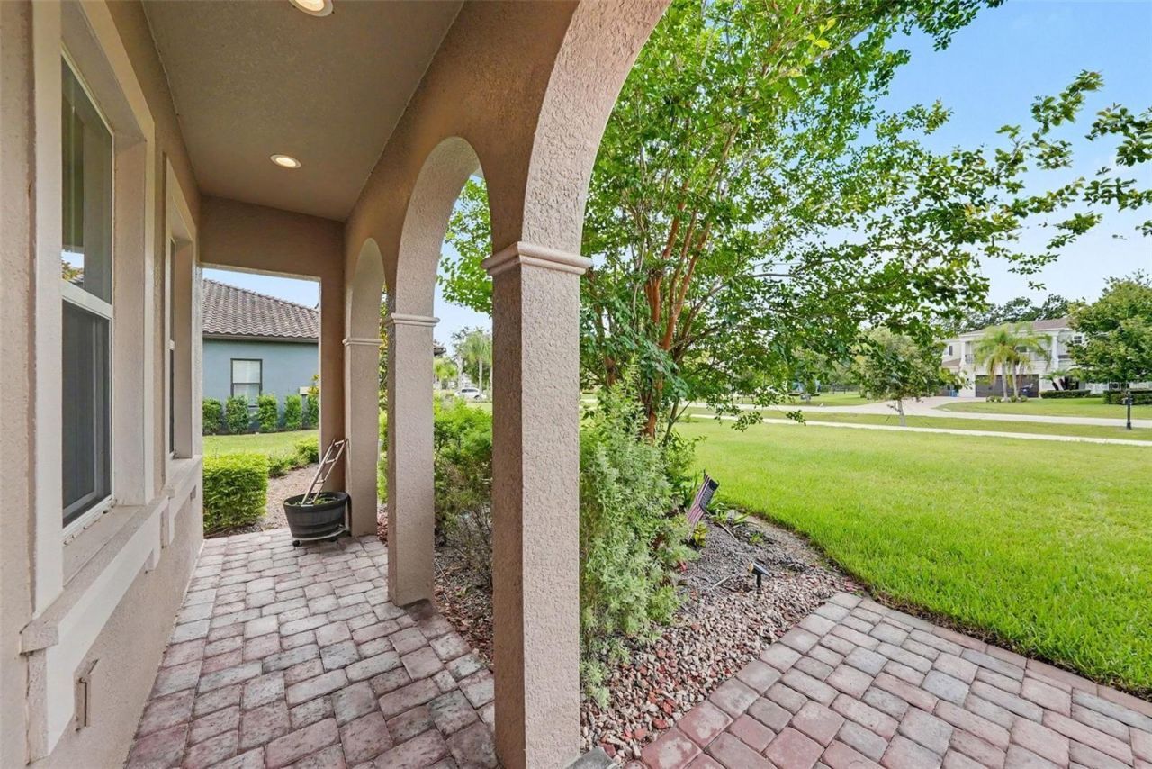 17823 Daisy Farm Drive, Lutz, FL 33559 Photo