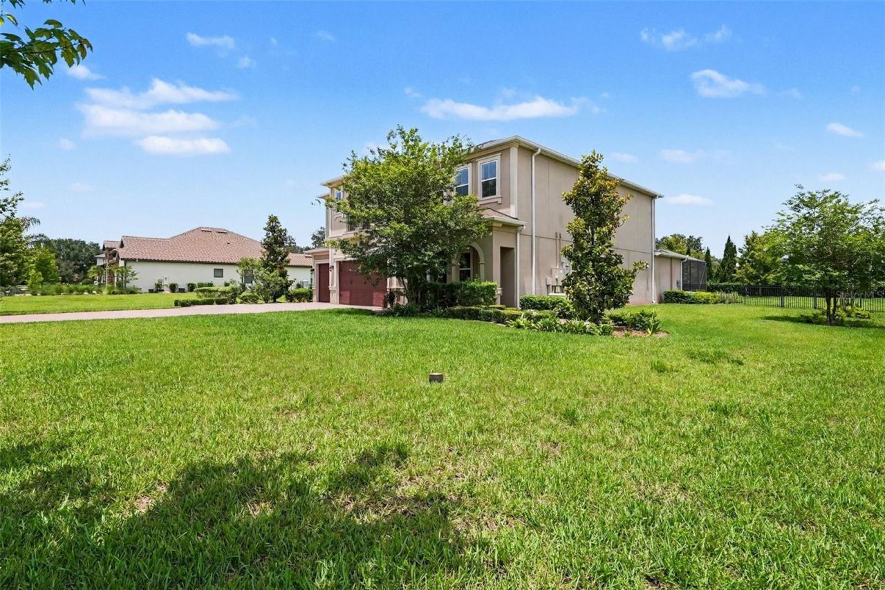 17823 Daisy Farm Drive, Lutz, FL 33559 Photo