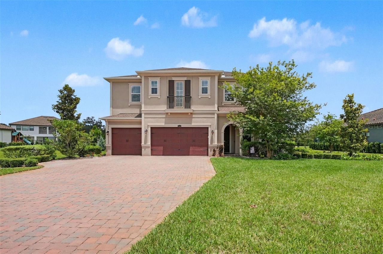 17823 Daisy Farm Drive, Lutz, FL 33559 Photo