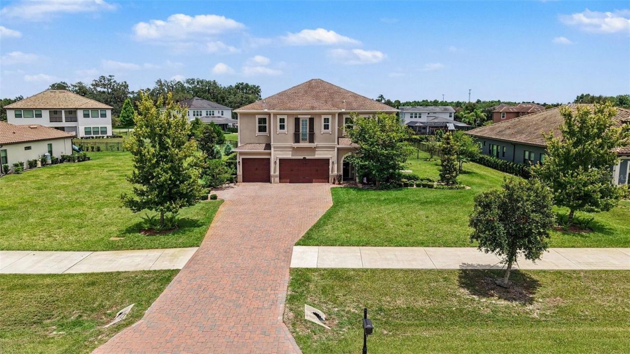 17823 Daisy Farm Drive, Lutz, FL 33559 Photo