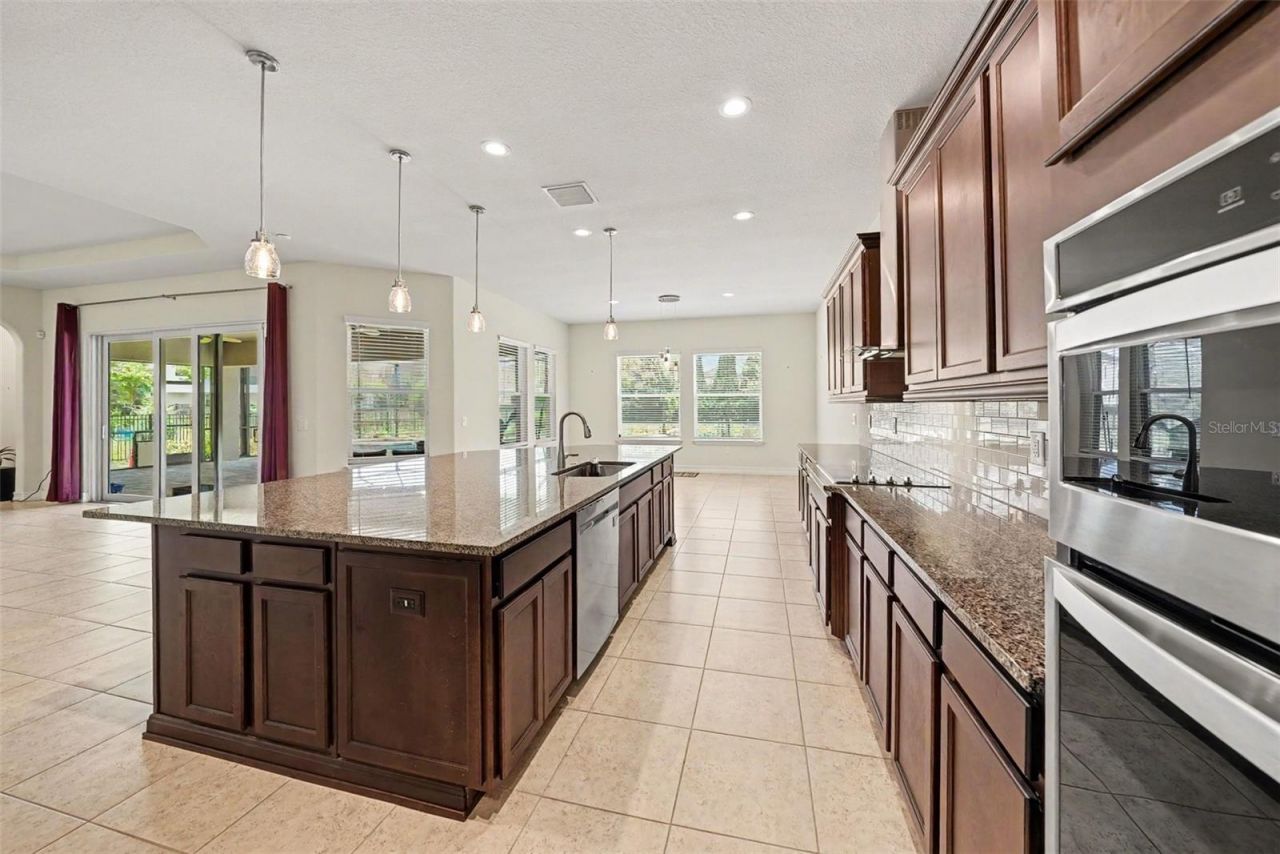 17823 Daisy Farm Drive, Lutz, FL 33559 Photo