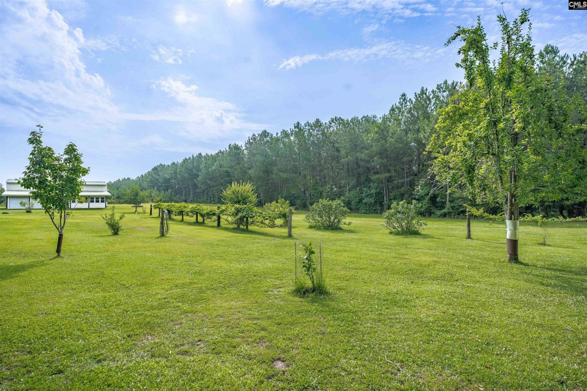 187 Peach Tree Street  Photo 24