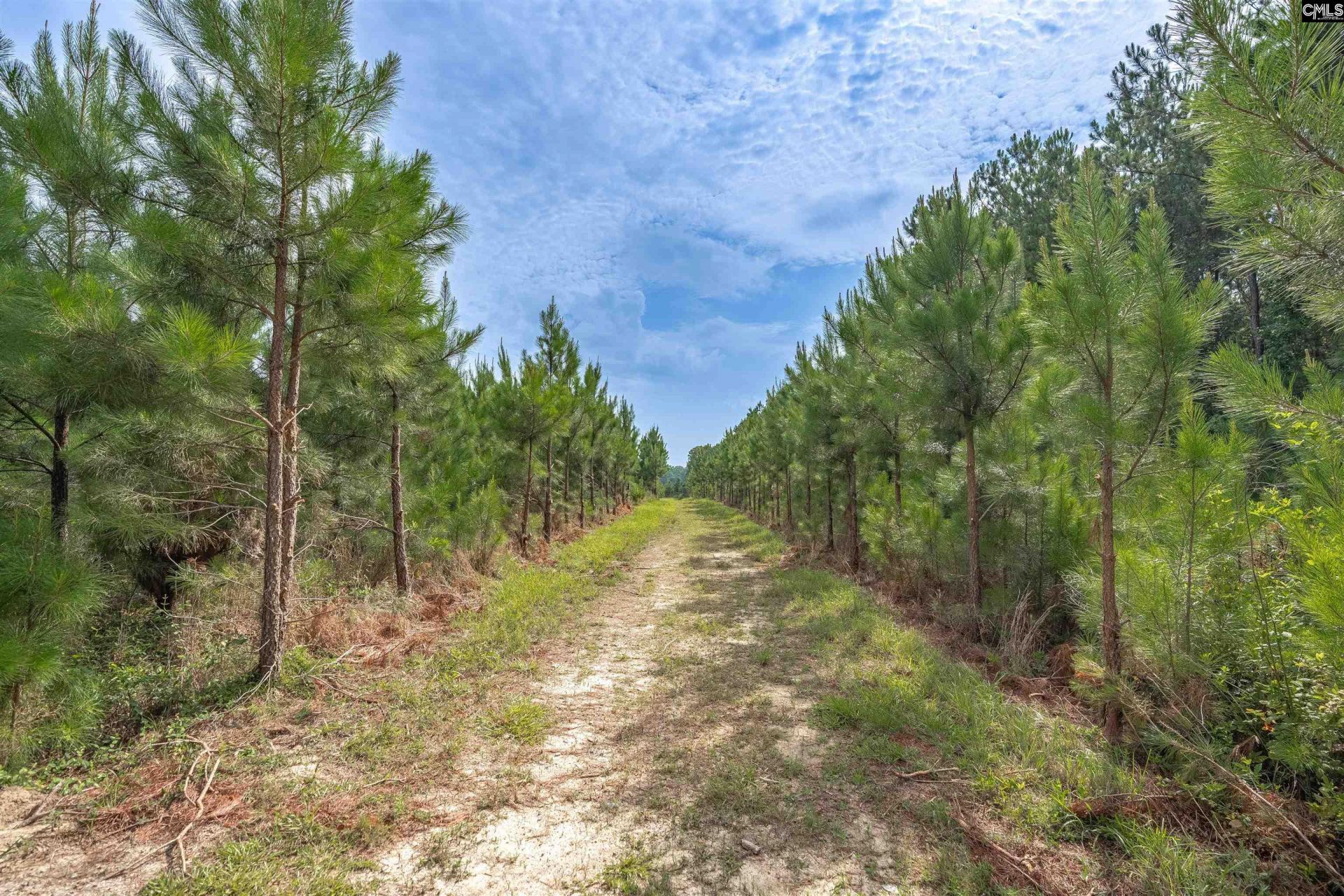 187 Peach Tree Street  Photo 28