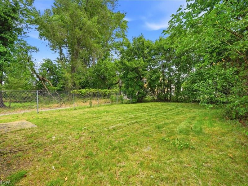 621 E 115th Street, Cleveland, OH 44108 Photo 6