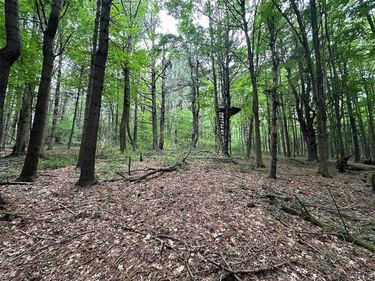 Flat Iron Road, Hunt, NY 14846