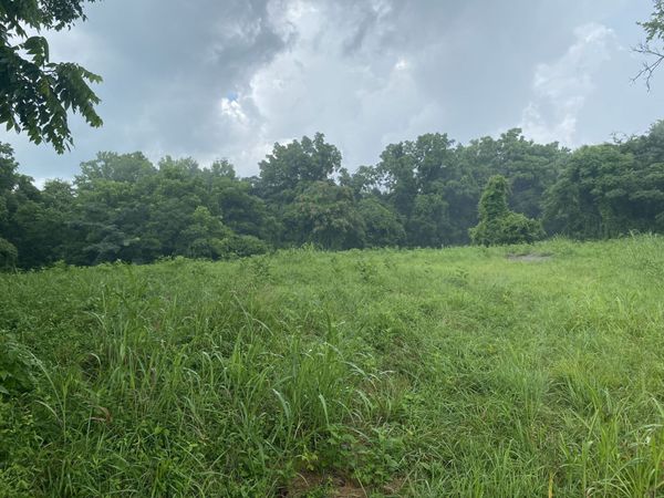 0 Johnson Road , Pulaski, TN 38478