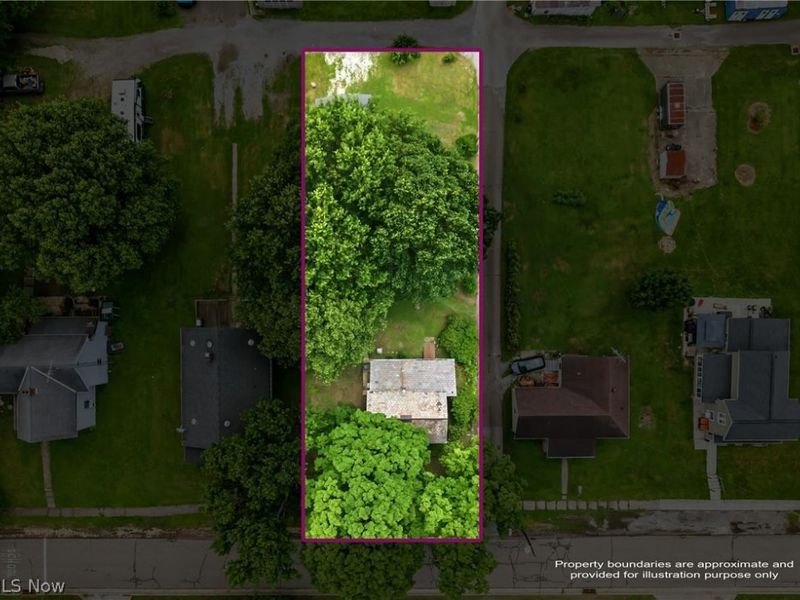 238 W High Street, Lisbon, OH 44432 Photo 29