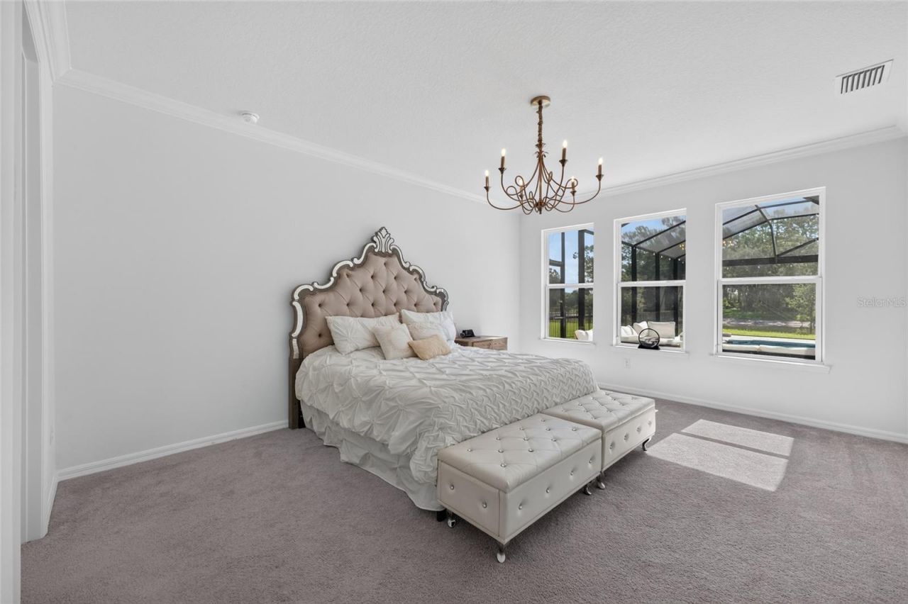 33751 Landsman Loop, Wesley Chapel, FL 33543 Photo