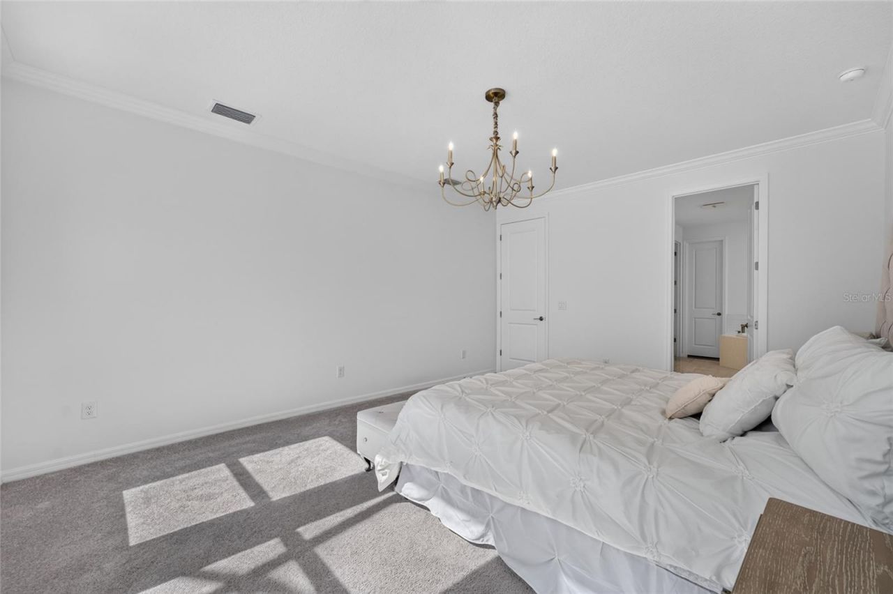 33751 Landsman Loop, Wesley Chapel, FL 33543 Photo