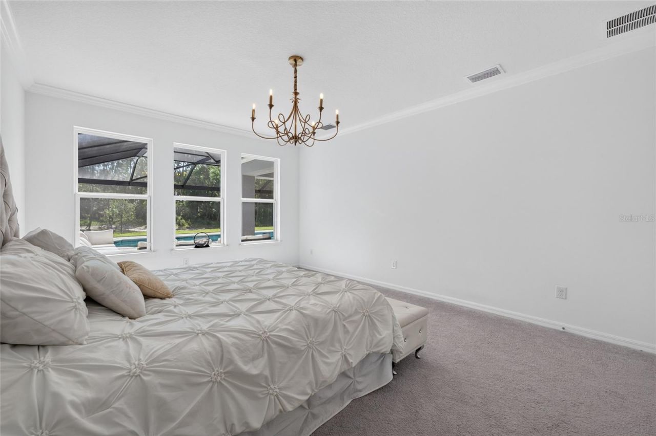 33751 Landsman Loop, Wesley Chapel, FL 33543 Photo