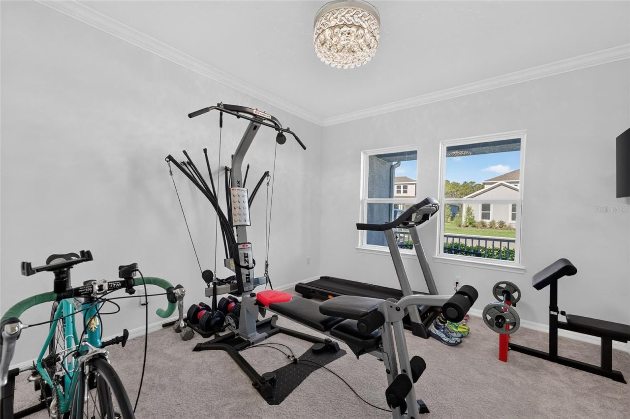 33751 Landsman Loop, Wesley Chapel, FL 33543 Photo