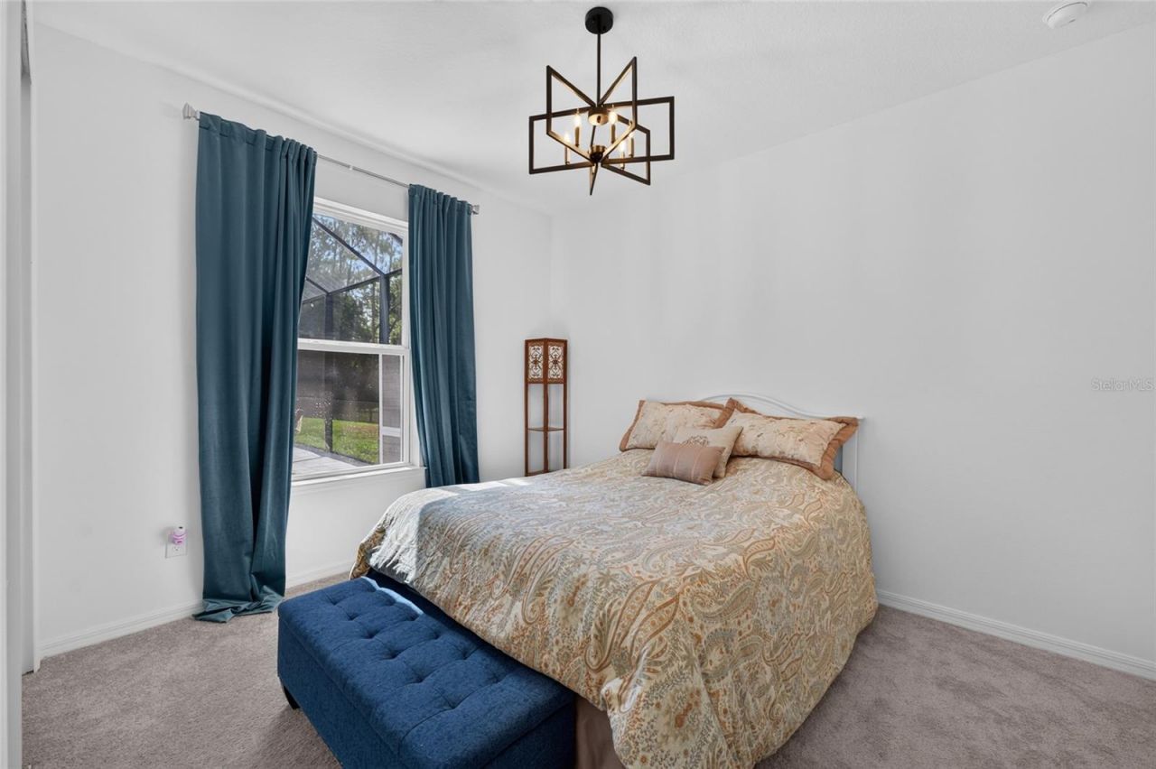 33751 Landsman Loop, Wesley Chapel, FL 33543 Photo