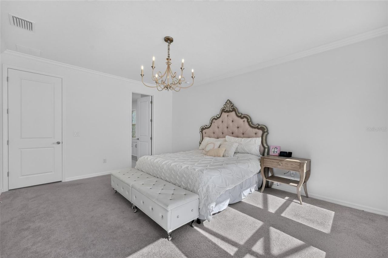 33751 Landsman Loop, Wesley Chapel, FL 33543 Photo
