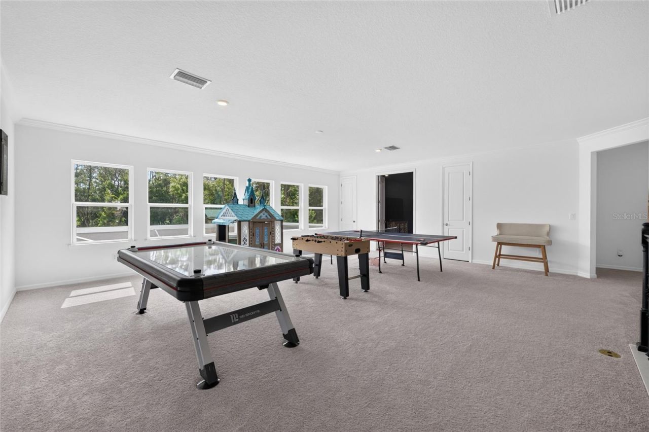 33751 Landsman Loop, Wesley Chapel, FL 33543 Photo
