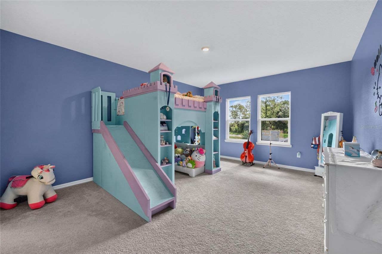33751 Landsman Loop, Wesley Chapel, FL 33543 Photo