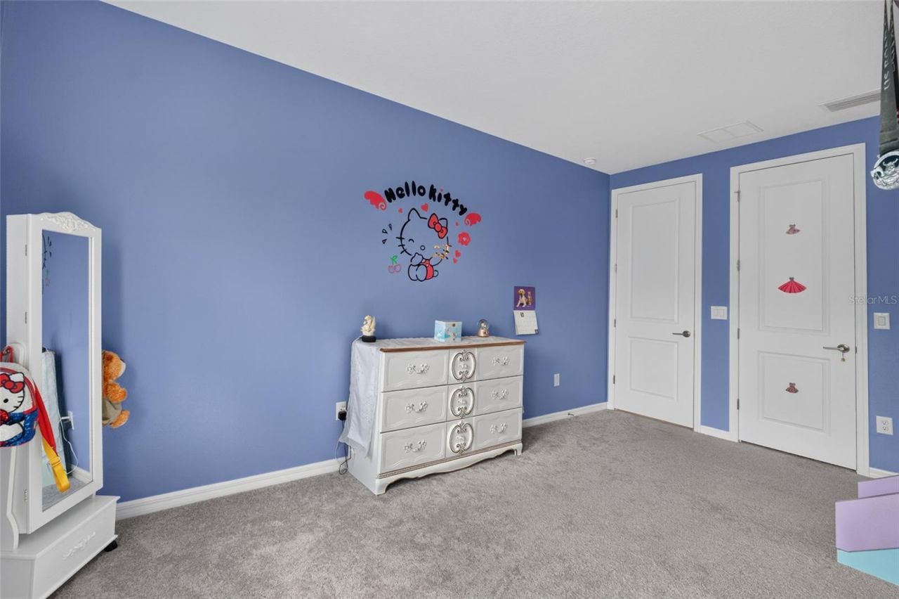 33751 Landsman Loop, Wesley Chapel, FL 33543 Photo