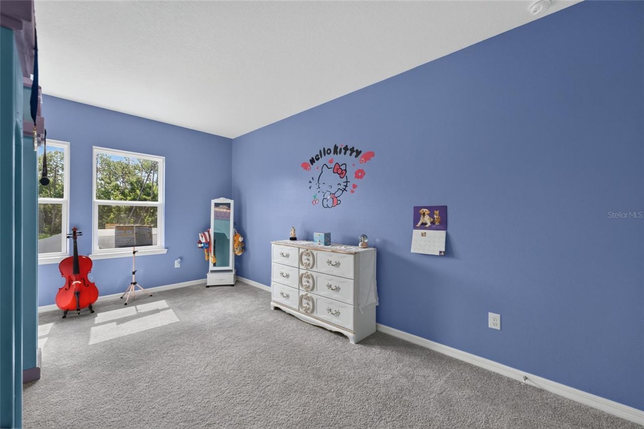 33751 Landsman Loop, Wesley Chapel, FL 33543 Photo