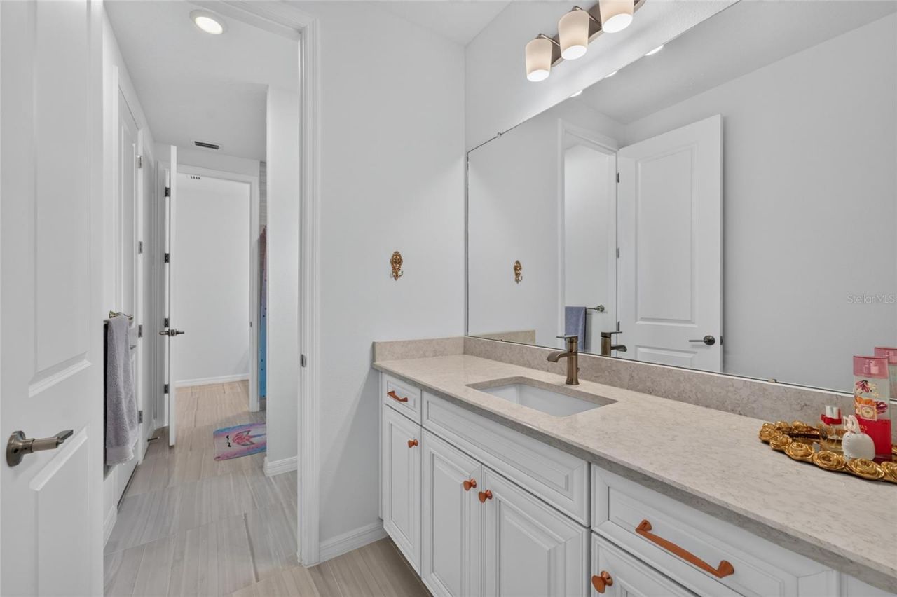 33751 Landsman Loop, Wesley Chapel, FL 33543 Photo