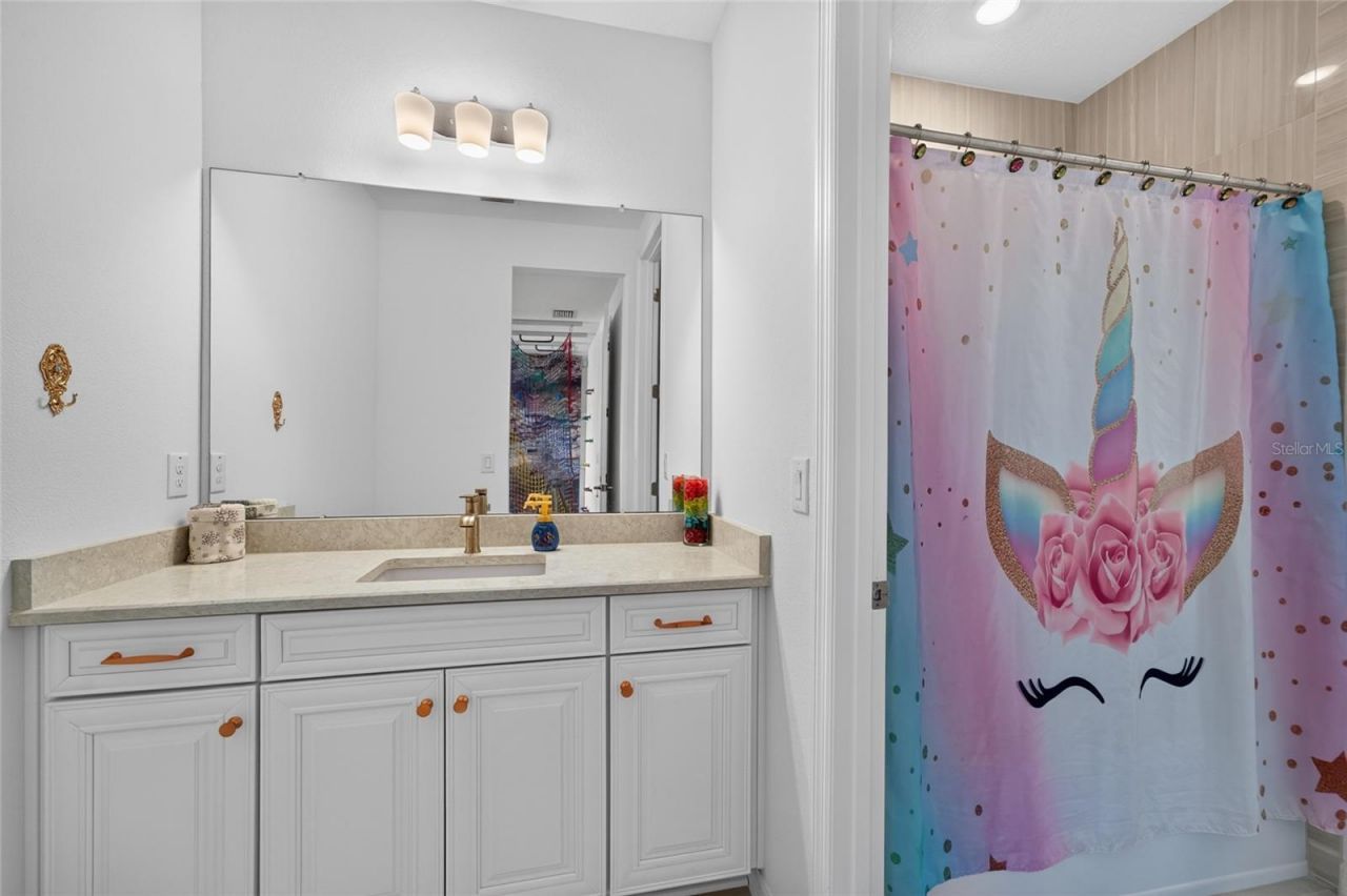 33751 Landsman Loop, Wesley Chapel, FL 33543 Photo